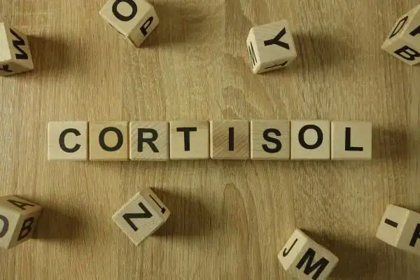 The Hidden Connection: How Stress Shapes Your Fitness and Body Composition 2 Image saying "Cortisol" and how stress Berkshire impacts your wellbeing and bodies shape
